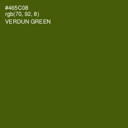 #465C08 - Verdun Green Color Image